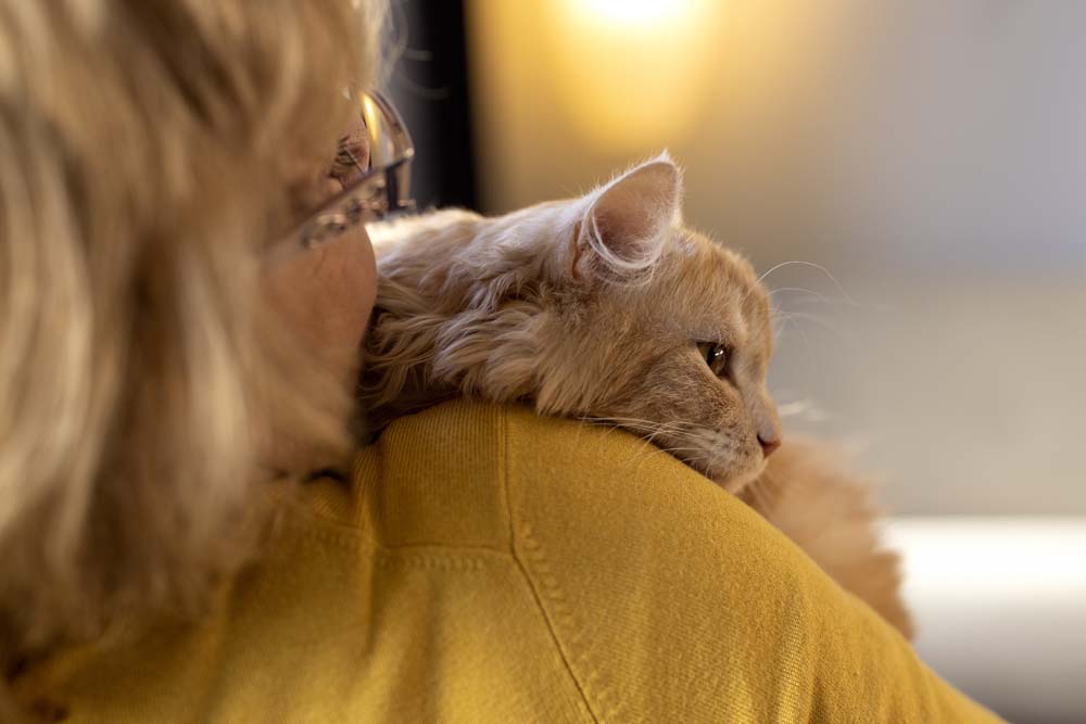 Anxiety in Cats – How To Recognise and Cope With Stress