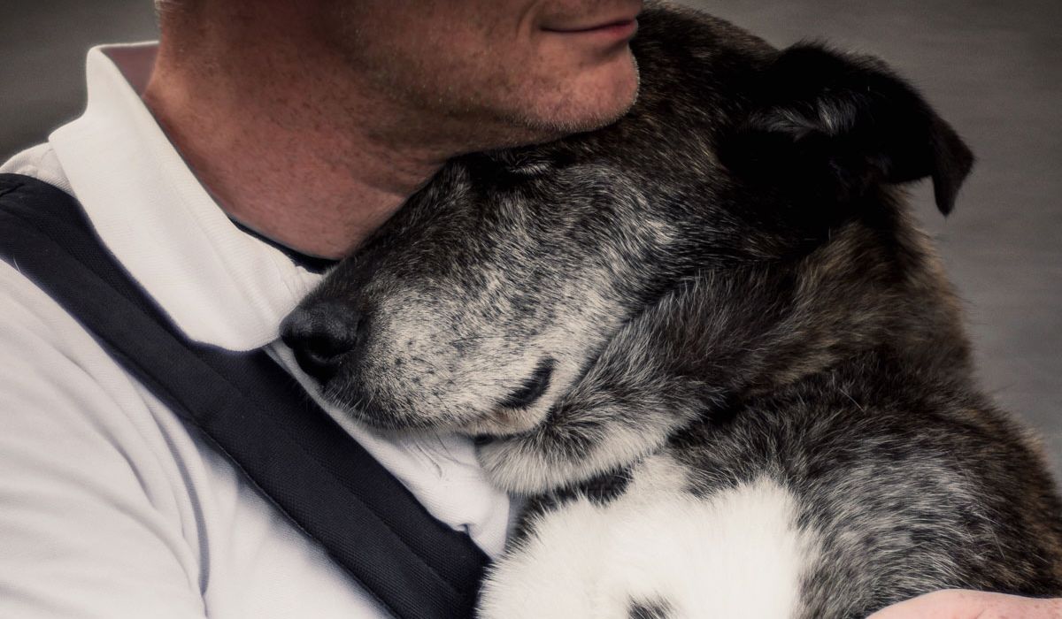 Saying Goodbye: When It's Time and What to Expect