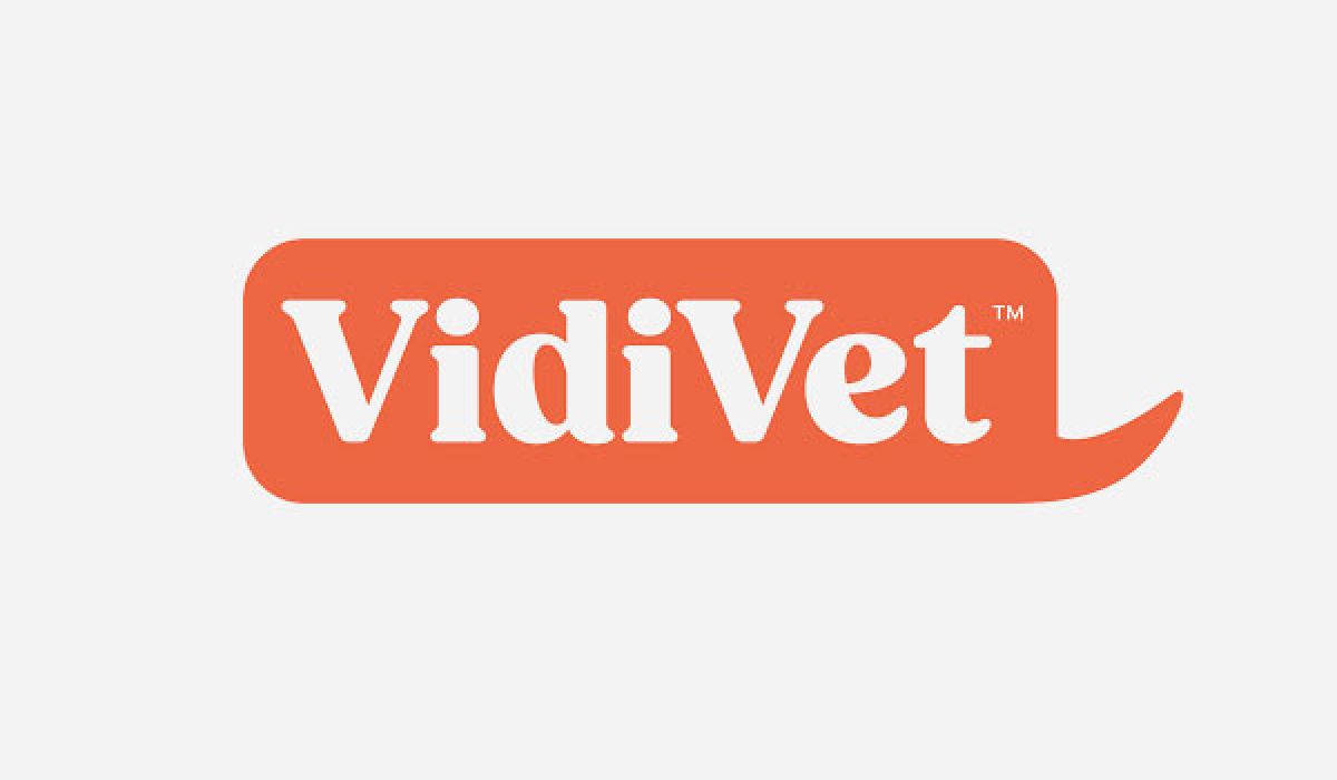 VidiVet