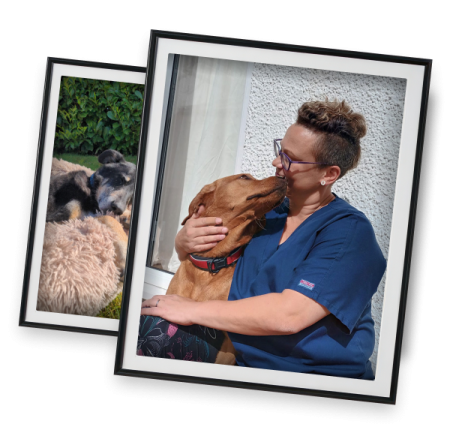 A vet and a dog image on a frame