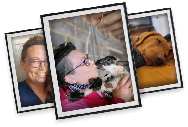 Dodi  images in frames