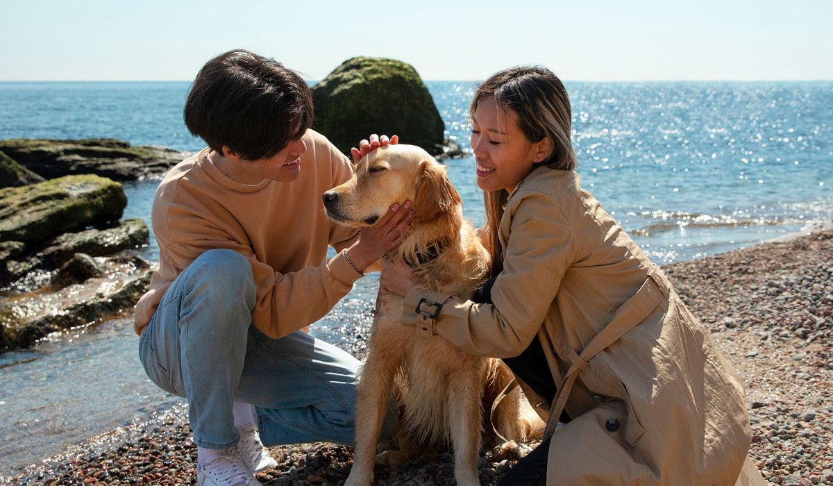 A man and woman gently pet a dog while enjoying a sunny day at the beach.