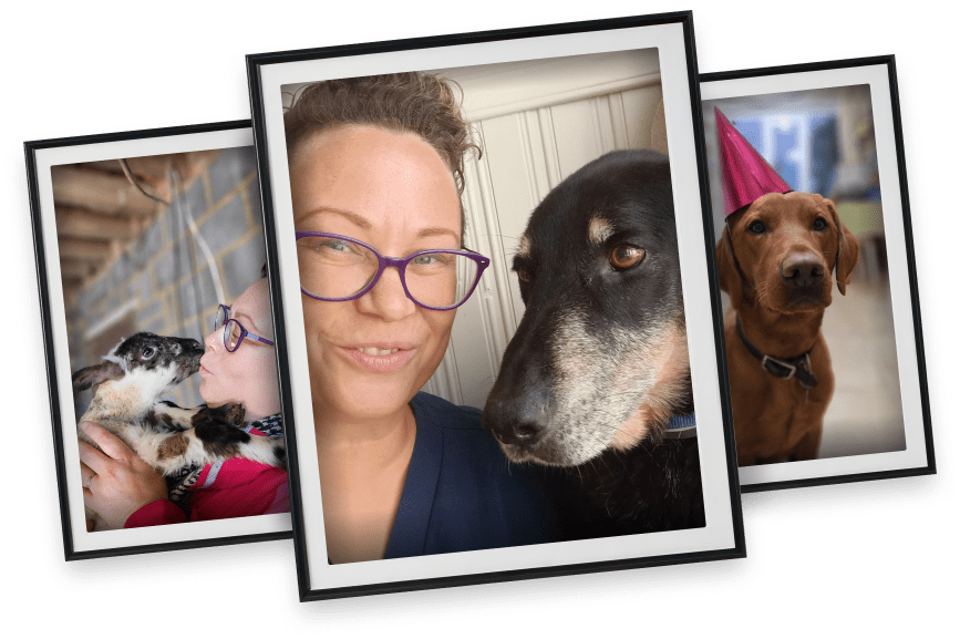 Animal pictures in frames