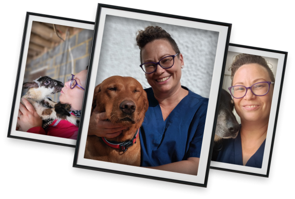 Dodi images in frames