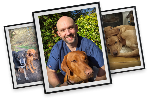 Alex images in frames