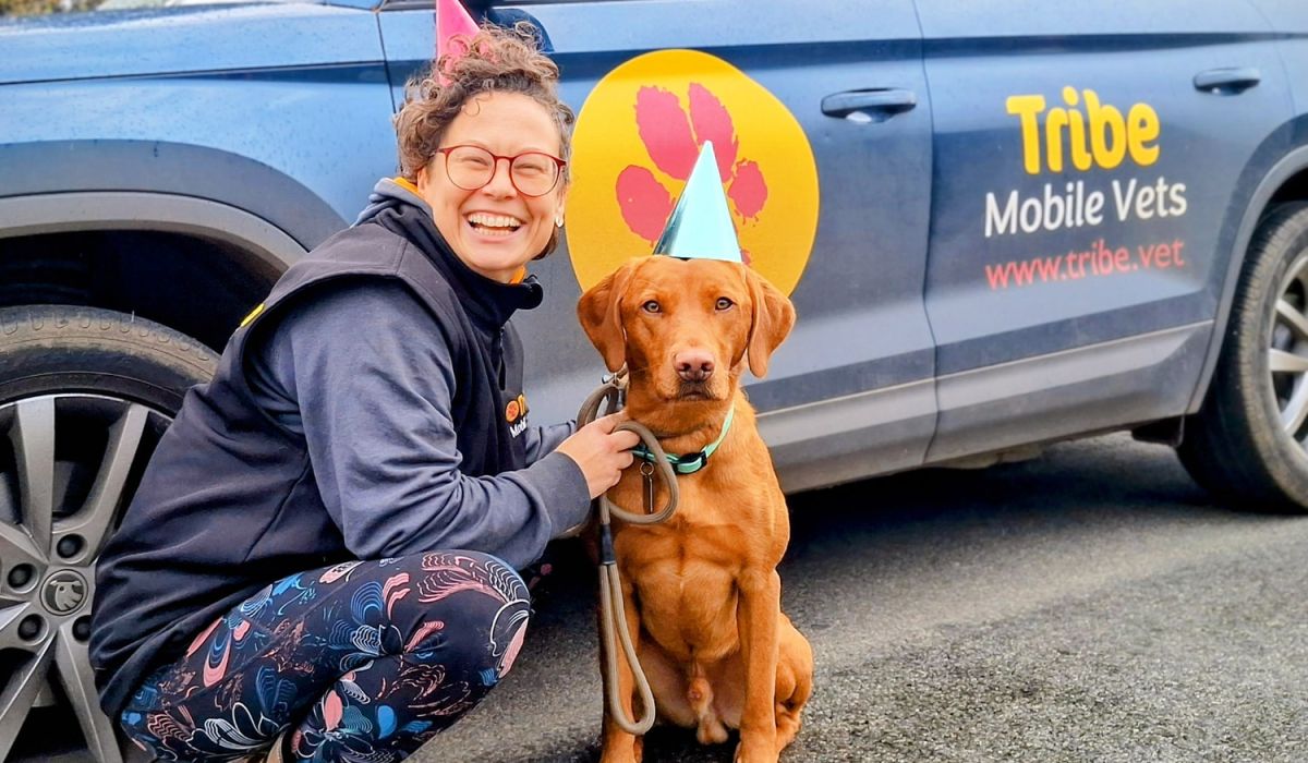 Tribe Vets One Year Anniversary